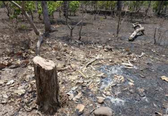 Screenshot_20240714-013031_WhatsApp