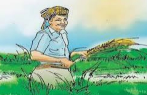 कुंभकर्णी नींद में सो रहे कृषि विभाग ,लूट के शिकार हो रहे हैं अन्नदाता,सुध लेने वाले नही