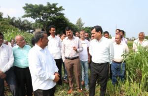 कलेक्टर श्री सिंह ने किया फसलों का निरीक्षण व कृषकों से संवाद