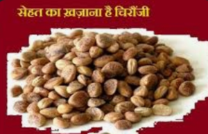 छिदंवाडा जिलें के अमरवाड़ा की चार चिरौंजी की जायेगी एक्सपोर्ट