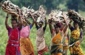 अमृत-काल में भी, मूलभूत सुविधाओं से वंचित हैं,छिदंवाडा जिलें के आदिवासी