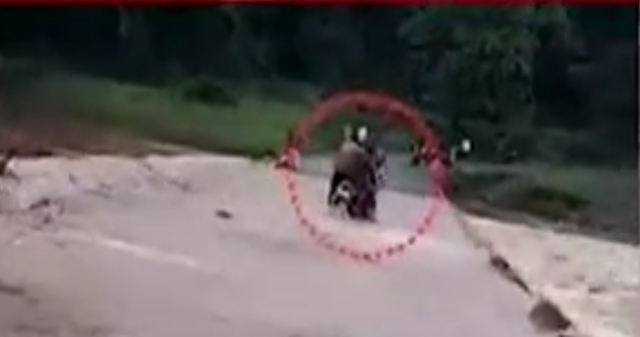 Screenshot_20240728-115215_WhatsApp