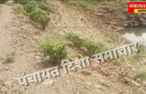 करप्शन की भेंट चढें अमृत सरोवर तालाब, सरपंच – सचिव ने खाई सारी मलाई..