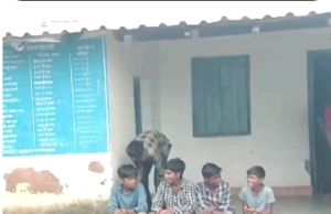 आदिवासी बच्चों के निवाले पर डकैती…मूलभूत सुविधा से दूर…