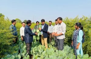 पांढुर्णा जिले के ग्राम राजना में किये गये नवाचार को देखने पहुंची कृषि वैज्ञानिकों व कृषि अधिकारियों की टीम….