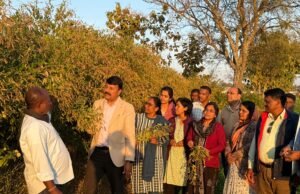 कृषक श्री तुकाराम इंगले द्वारा की जा रही अरहर की उन्नत खेती…