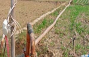 नहरों में अवैध पंप लगाने वालों पर करें कार्यवाही, पात्र कृषकों को मिले सिंचाई का लाभ – कलेक्टर श्री सिंह