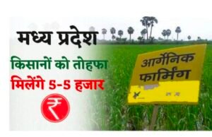 सरकार की जबरदस्त योजना, किसानों को 3 साल तक मिलेंगे 5-5 हजार रुपए…