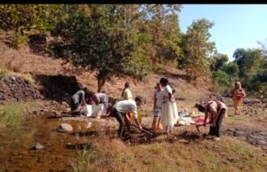 जल संवर्धन के लिये ग्राम पंचायत राफा की बुध्दि झुकी नदी में 50 बोरियों से किया गया बोरी बंधान..