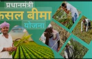 किसानों से 31 दिसंबर तक फसलों का बीमा कराने की अपील….