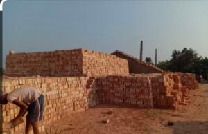 जंगल काटकर पका रहे ईट, ईट भट्टे में सरकारी मिट्टी का कर रहे उपयोग..