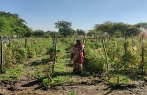 आर्थिक सुधार के साथ ही सुश्री अर्चना के जीवन स्तर में भी आया बदलाव..