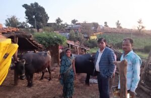 दृढ़ निश्चय और सरकारी योजनाओं का लाभ: ग्राम माली की श्रीमती सविता भारती हुईं आर्थिक रूप से सुदृढ़…