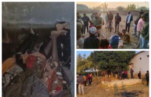 सेप्टिक टैंक से मिले 4 शव मचा हड़कंप….