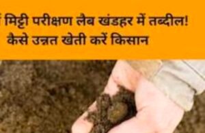 तालों पर जंग, भवन के परिसर में उगे घास… लाखों रुपये खर्च के बाद नहीं हैं कर्मचारी, मिट्टी परीक्षण के लिए दर-दर भटक रहे किसान…