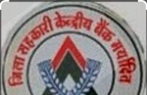 सहकारी बैंक की शाखाओं और समितियों के कामकाज की मैदानी स्तर पर समीक्षा…