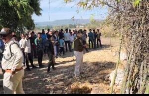 सिवनी (छपारा) क्षेत्र में बाघ के मूवमेंट से इलाके में दहशत का माहौल…