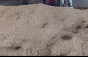 झिलमिली धान खरीदी केंद्रों पर तौली जा रही नॉन एफएक्यू धान,