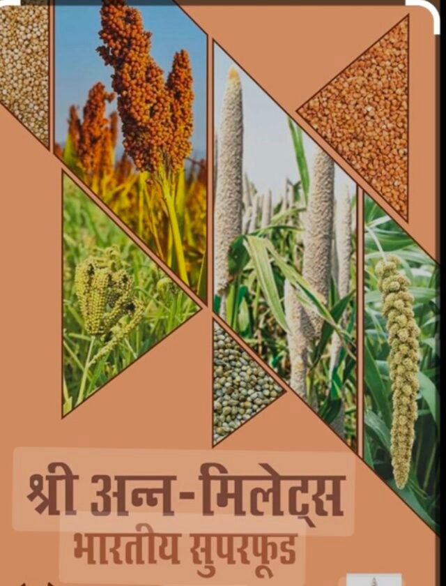 Screenshot_2025_0109_210434