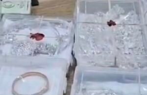 अंतर्राज्यीय चोर गिरोह से लाखो के सोने चांदी के जेवर जप्त, चंदनगांव एवं नोनिया करबल..