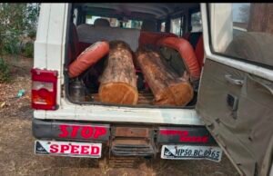 सागौन की सिल्लियों सहित पिकअप और बोलेरो वाहन जप्त..