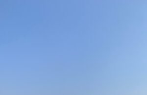 सांसद बंटी विवेक साहू ने किया पट प्रतियोगिता का शुभारंभ..