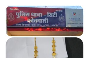 छिंदवाड़ा में बेखौफ चोर:आखिर कहा है पुलिस…?