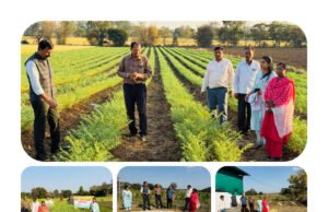 उप संचालक कृषि श्री जितेन्द्र सिंह ने विभागीय टीम के साथ विकासखण्ड मोहखेड़ के ग्रामों में किसानों की फसलों का किया अवलोकन…