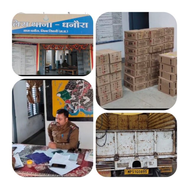 InShot_20250225_190109785