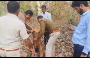 सैकड़ों सागौन के कटे ठूंठ मिले, तस्करी के पक्के सबूत – फिर भी वन विभाग के बड़े अधिकारी बचते क्यों दिख रहे हैं?