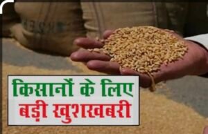 सीएम मोहन यादव की किसानों को बड़ी सौगात, 2600 रुपए प्रति क्विंटल में गेहूं खरीदेगी सरकार..