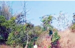 भ्रष्टाचारी है ग्राम पंचायत सचिव सरपंच और रोजगार सहायक,ग्रामीणों ने मुख्यमंत्री से की लिखित शिकायत, ग्राम पंचायत क्षेत्र में चल रहा भ्रष्टाचार…