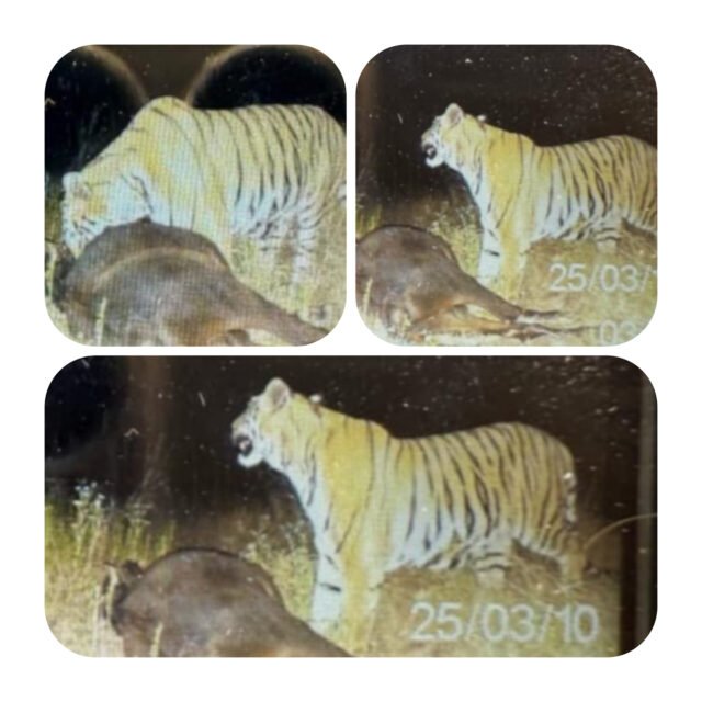 InShot_20250327_225322199