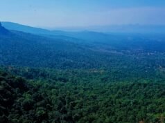 शनिवार से छिंदवाड़ा के तामिया में शुरू होगी तेलगू फिल्म भार्गवी की शूटिंग….