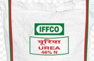 चौरई विधानसभा क्षेत्र में यूरिया की किल्लत: किसानों की समस्या का समाधान कब?…