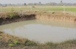 गरीब -किसानों-श्रमिकों की समृद्धि का आधार “मनरेगा”: मुख्यमंत्री डॉ. यादव32 लाख श्रमिकों को मिला रोजगार 1500 करोड़ रुपये की मजदूरी का भुगतान….