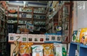 छिंदवाड़ा जिलें में हाइब्रिड बीज के मकड़जाल में फंस रहा किसान..?