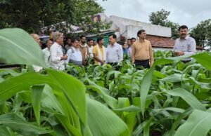 कलेक्टर श्री सिंह ने किया प्रगतिशील किसान की मक्का फसल का निरीक्षण