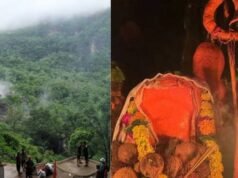 पचमढ़ी क्षेत्र में स्थित नागलोक के द्वारा नागद्वावरी के दर्शन हेतु यात्रा 19 जुलाई से प्रारंभ….