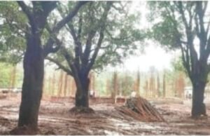 जनजातीय कार्य विभाग के छात्रावास भवन निर्माण कार्यों में ठेकेदारों की मनमानी