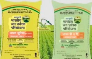 खाद की आपूर्ति करने में पूरी तरह विफल हुई भाजपा की सरकार…ओकटे