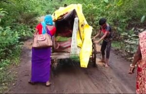 मध्यप्रदेश में हेल्थ सिस्टम का ये हाल… ‘जननी’ ने बैलगाड़ी पर किया तीन किमी का सफर.. तब मिली ‘एक्सप्रेस’