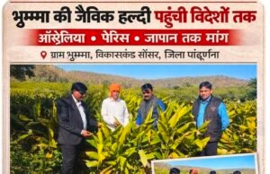 भुम्मा की हल्दी विदेशों तक पहुंची, एक एकड़ से ढाई लाख तक कमाई, जिलें के किसानों के लिए बने प्रेरणा स्रोत