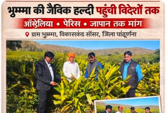 भुम्मा की हल्दी विदेशों तक पहुंची, एक एकड़ से ढाई लाख तक कमाई, जिलें के किसानों के लिए बने प्रेरणा स्रोत