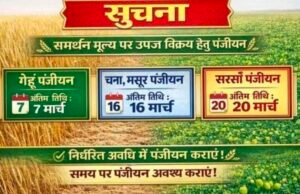 समय सीमा से पहले कराएं गेहूं, चना, मसूर और सरसों का पंजीयन – कलेक्टर की अपील