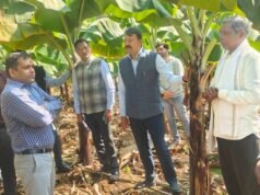 बंजर जमीन से समृद्धि की मिसाल:- हर्रई के किसान पुनरलाल इनवाती ने रची नई सफलता की कहानी