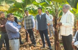 बंजर जमीन से समृद्धि की मिसाल:- हर्रई के किसान पुनरलाल इनवाती ने रची नई सफलता की कहानी