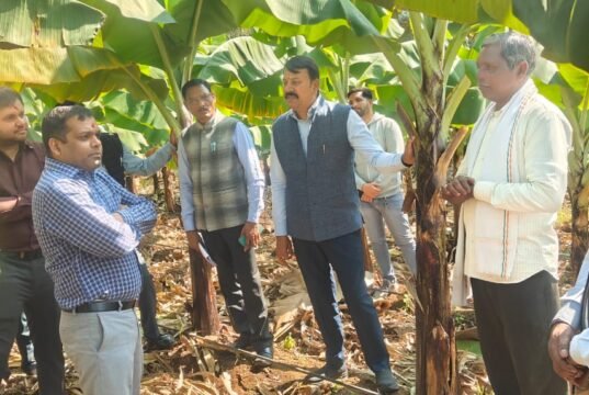 बंजर जमीन से समृद्धि की मिसाल:- हर्रई के किसान पुनरलाल इनवाती ने रची नई सफलता की कहानी