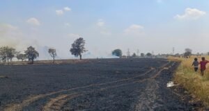 चिखली गांव में भीषण आग से किसानों की फसल खाक चांद तहसील (छिंदवाड़ा) के अंतर्गत आने वाले ग्राम चिखली की धटना…