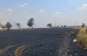 चिखली गांव में भीषण आग से किसानों की फसल खाक चांद तहसील (छिंदवाड़ा) के अंतर्गत आने वाले ग्राम चिखली की धटना…